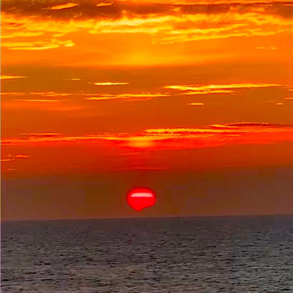 Meet your Posher, Aubree